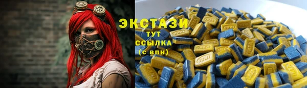 МДПВ Каменка
