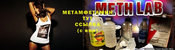 дживик Инта