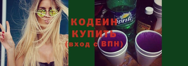дживик Инта