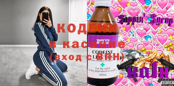 дживик Инта