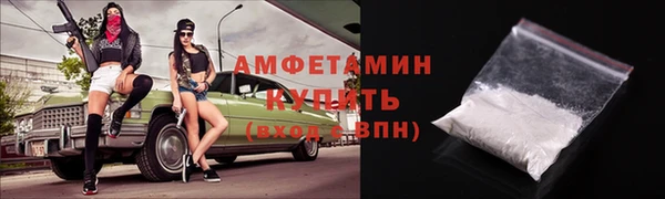дживик Инта