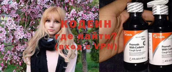 дживик Инта