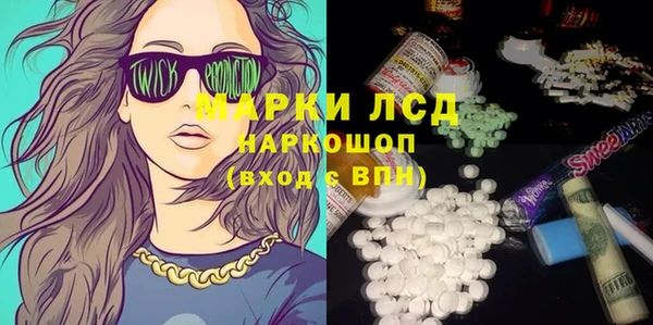 дживик Инта