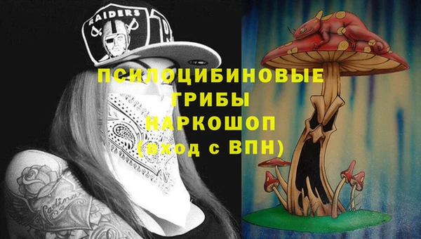мескалин Каменск-Шахтинский