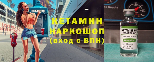 дживик Инта