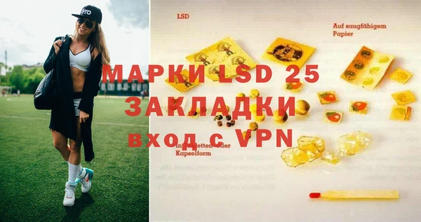 дживик Инта