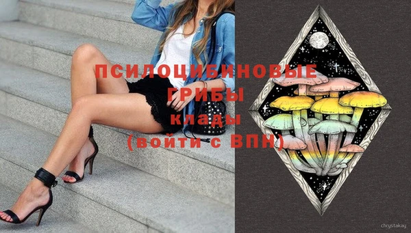 молекула духа Инсар