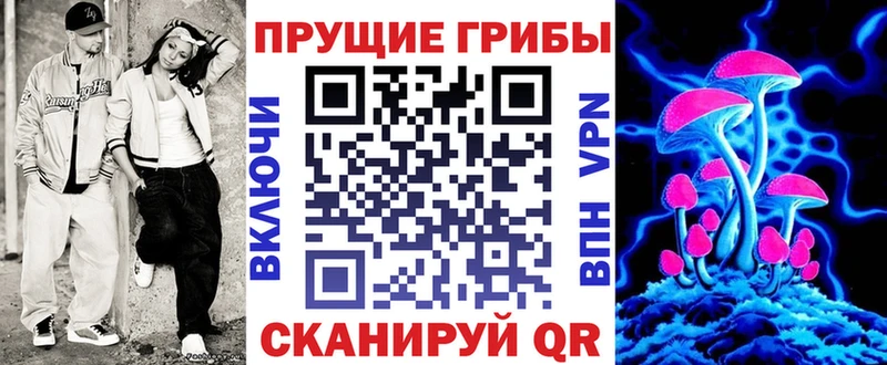 Купить закладки  Ефремов  Псилоцибиновые грибы ЛСД 